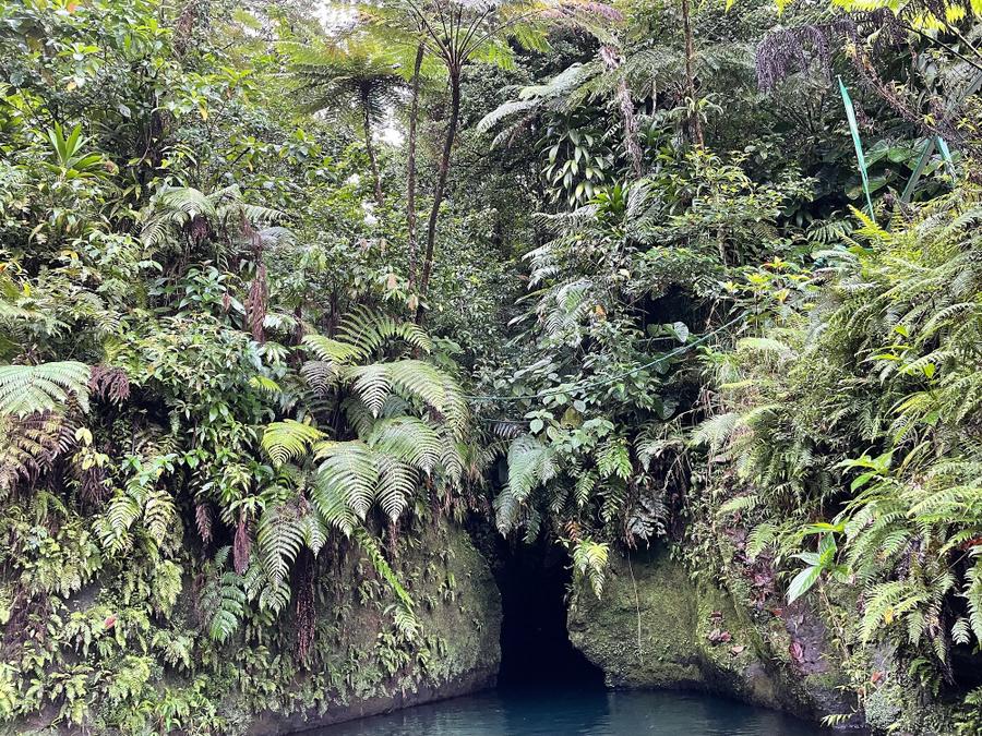 Photo 6 of Dominica, taken by Cameron Mofid