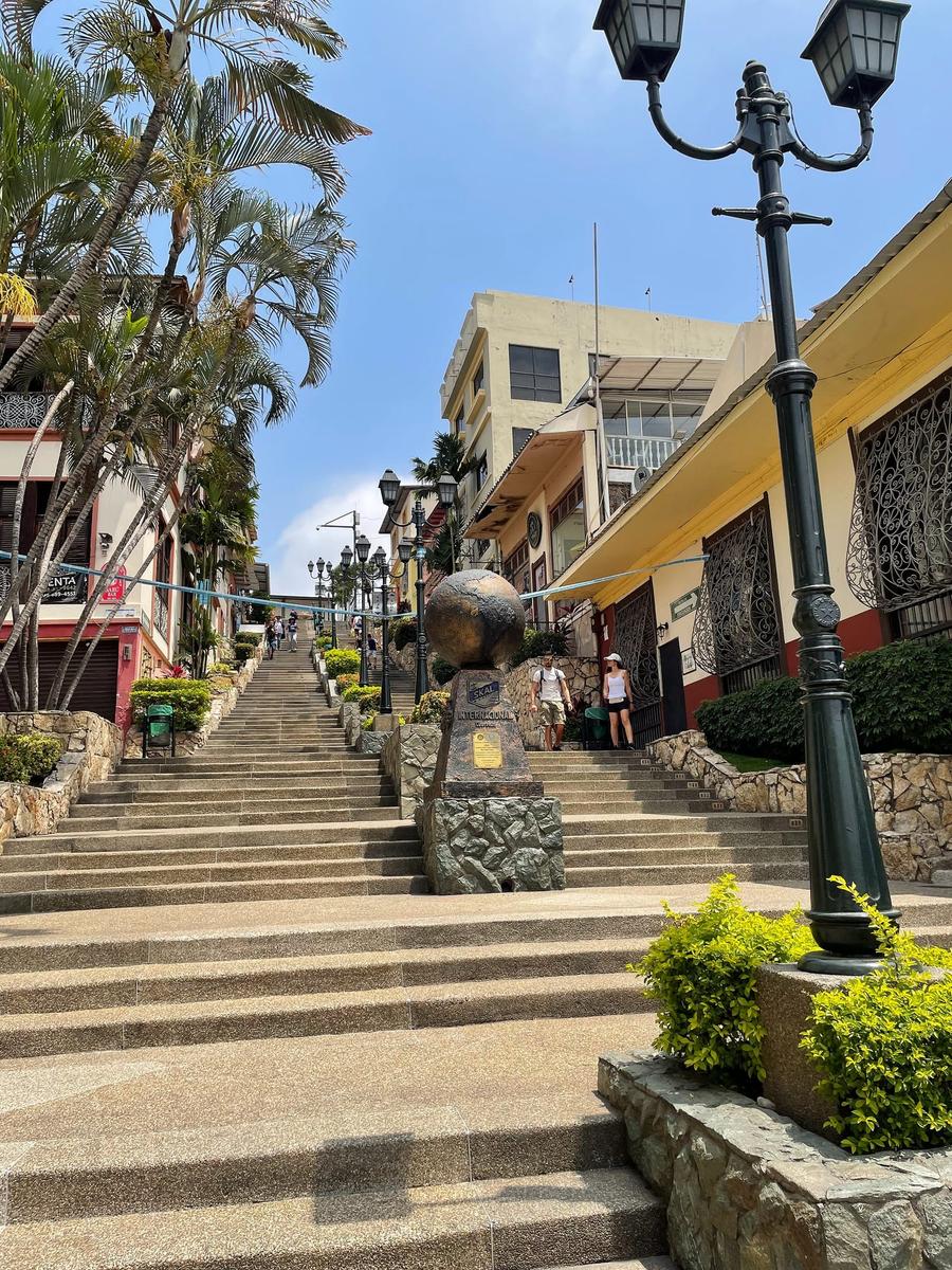 Photo 9 of Ecuador, taken by Cameron Mofid