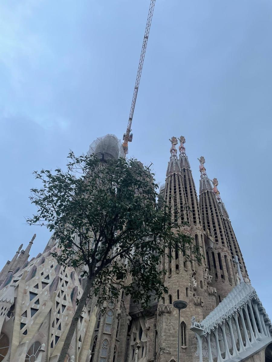 Photo 13 of Spain, taken by Cameron Mofid