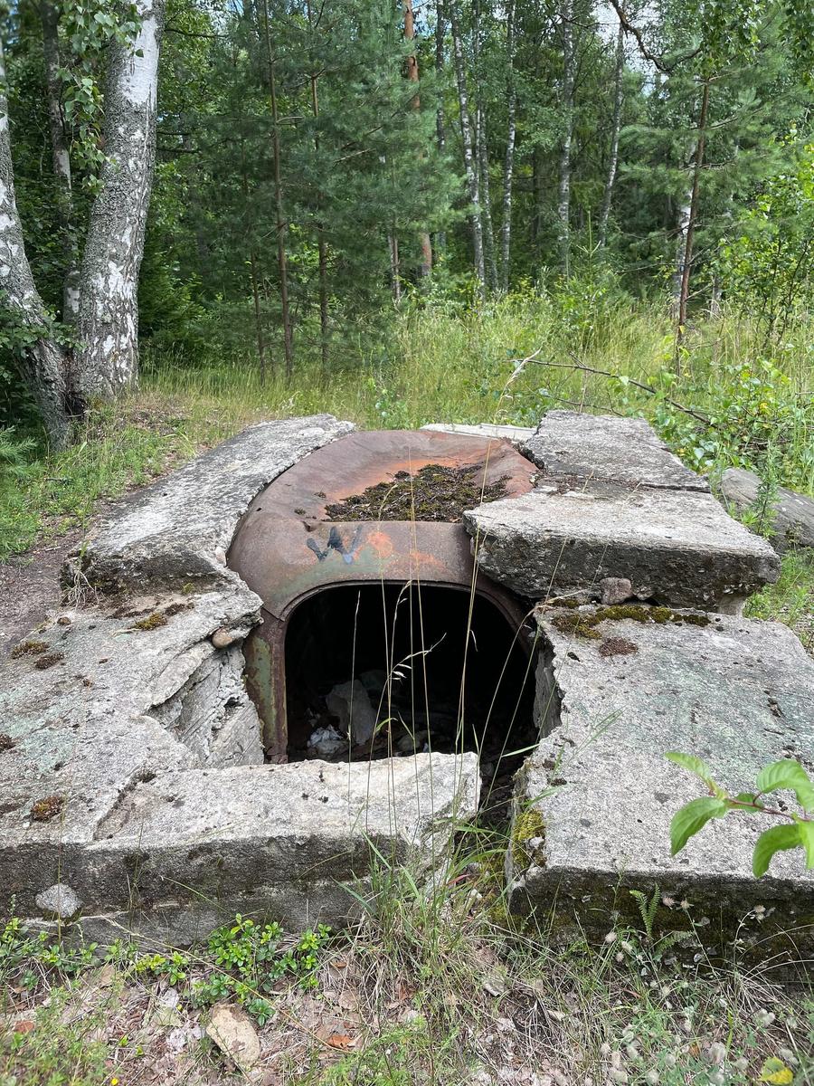Photo 6 of Estonia, taken by Cameron Mofid