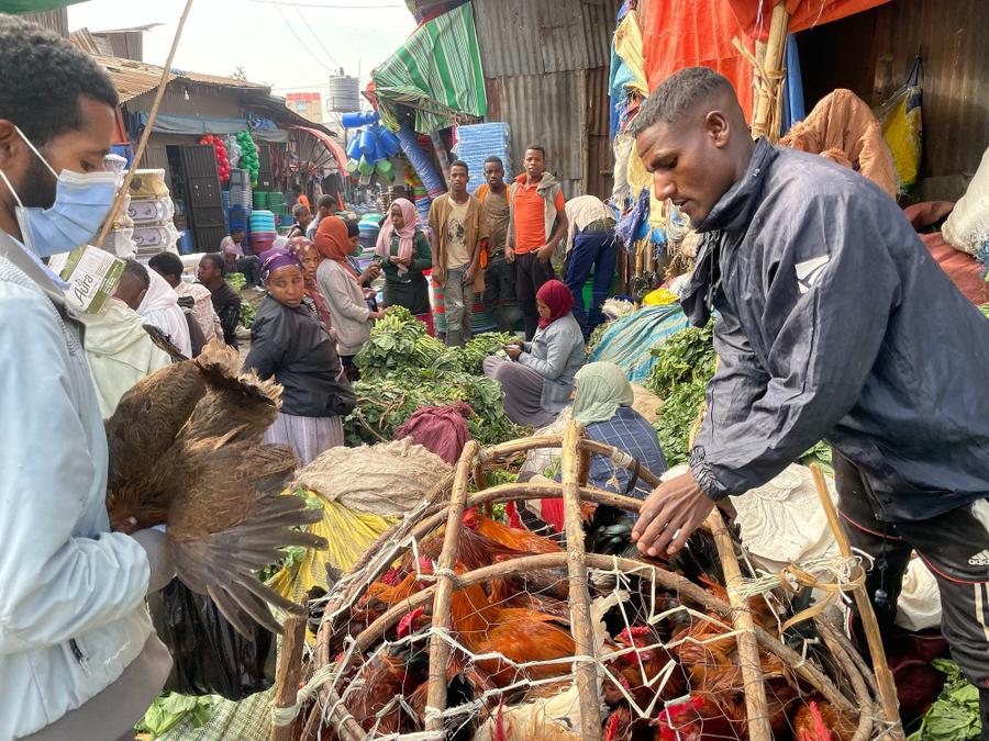 Photo 3 of Ethiopia, taken by Cameron Mofid