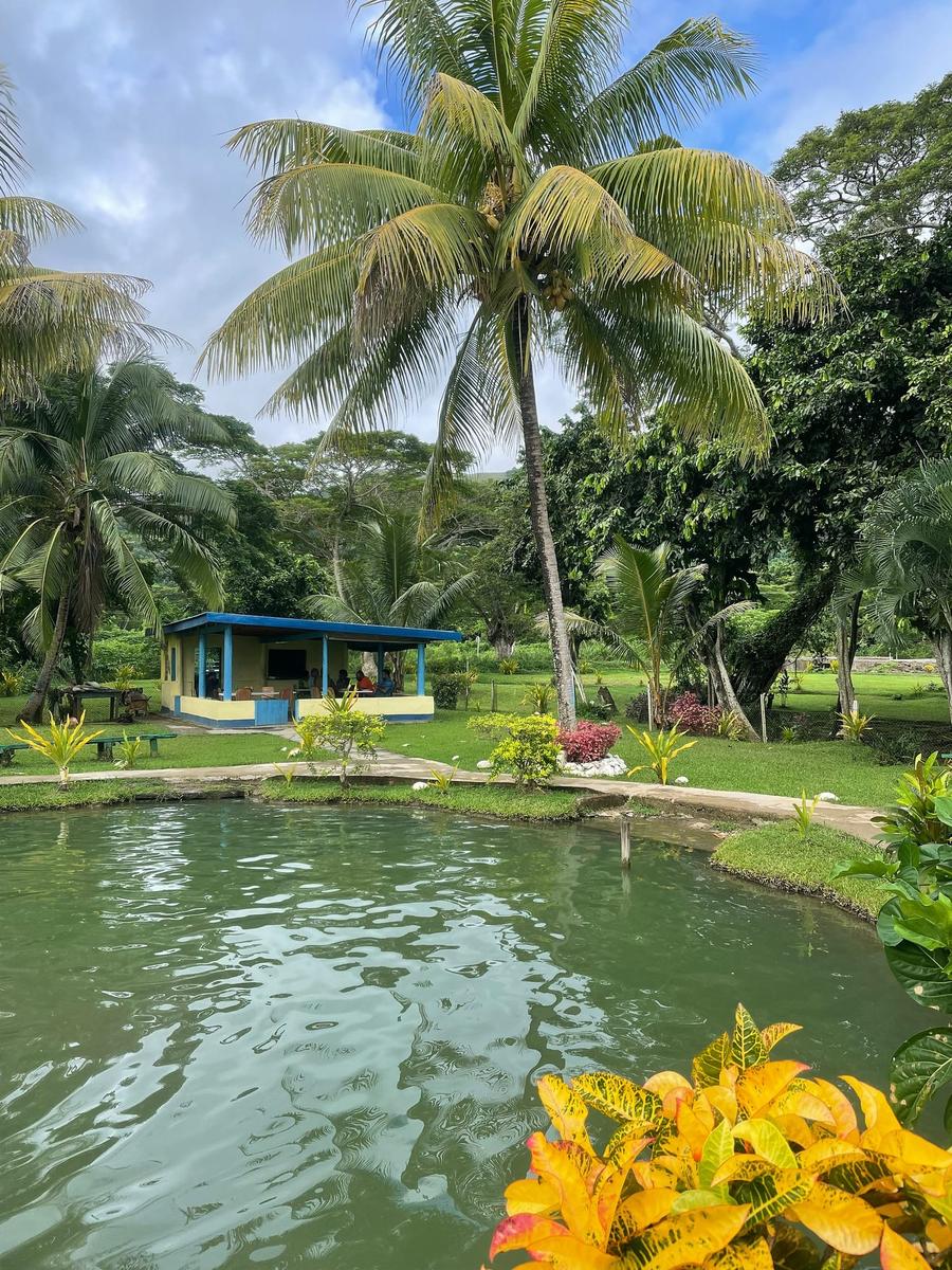 Photo 10 of Fiji, taken by Cameron Mofid
