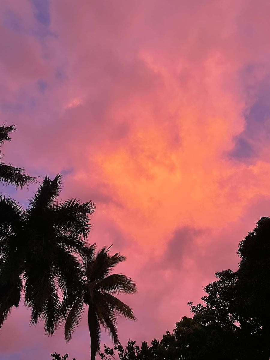 Photo 5 of Fiji, taken by Cameron Mofid