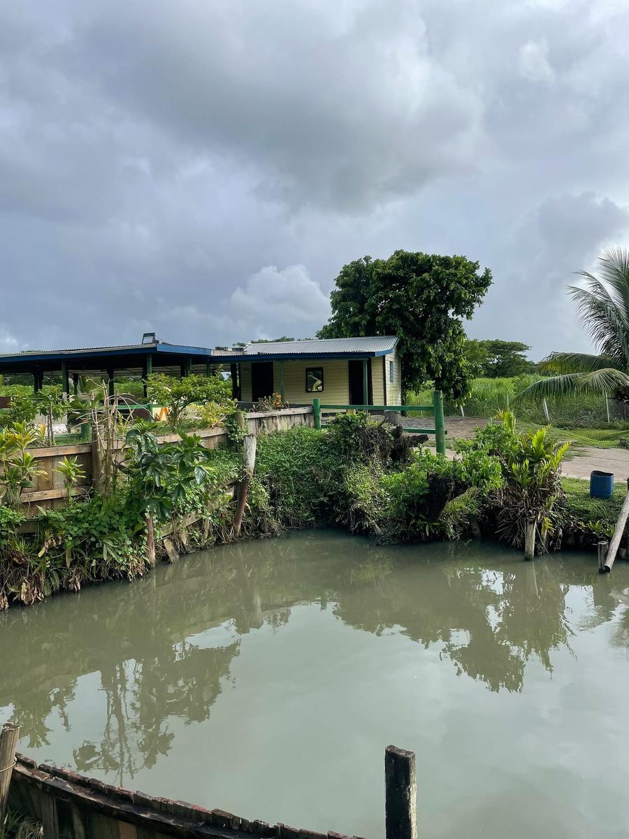 Photo 11 of Fiji, taken by Cameron Mofid