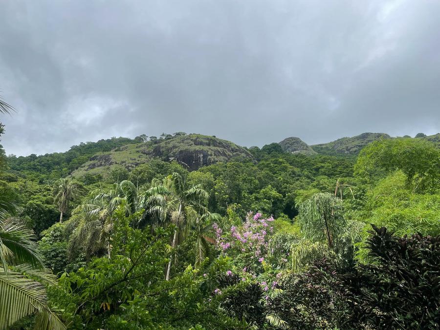Photo 8 of Fiji, taken by Cameron Mofid