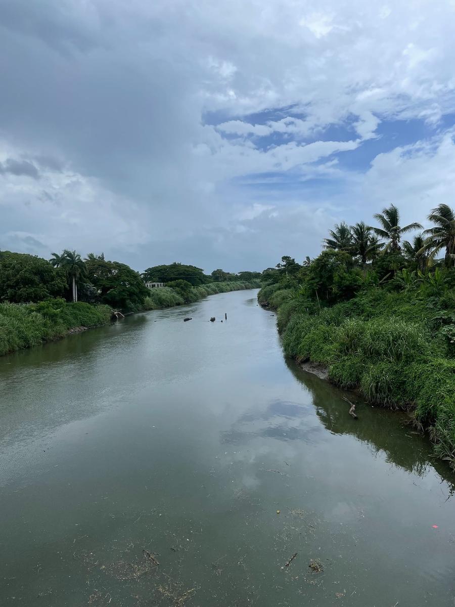 Photo 3 of Fiji, taken by Cameron Mofid