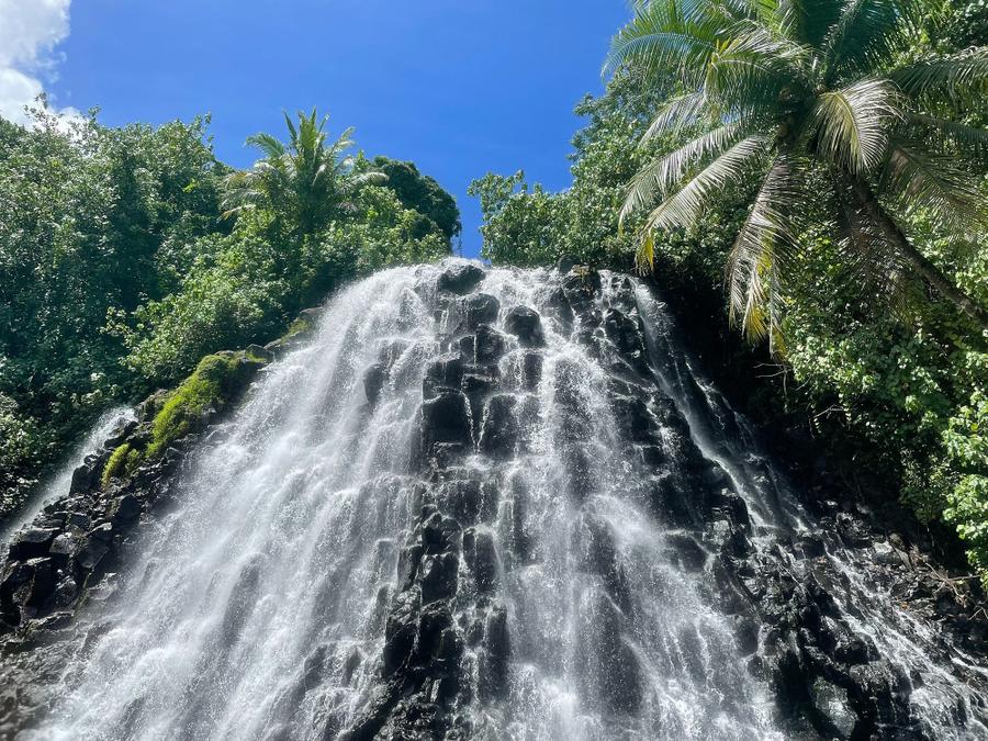 Photo 16 of Micronesia, taken by Cameron Mofid