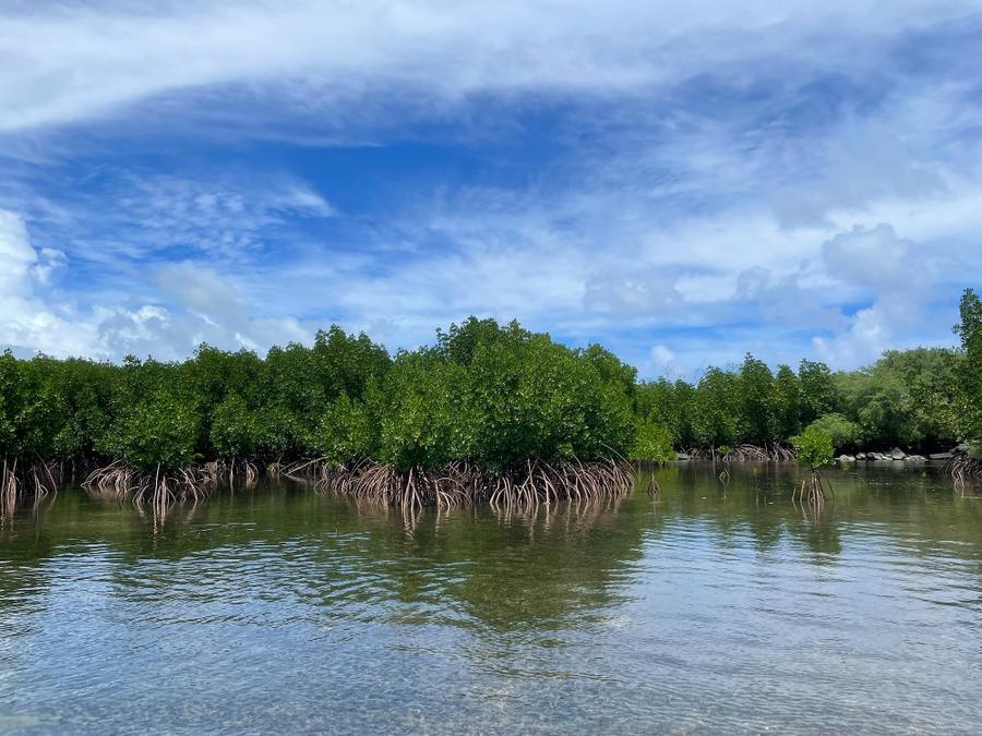 Photo 20 of Micronesia, taken by Cameron Mofid
