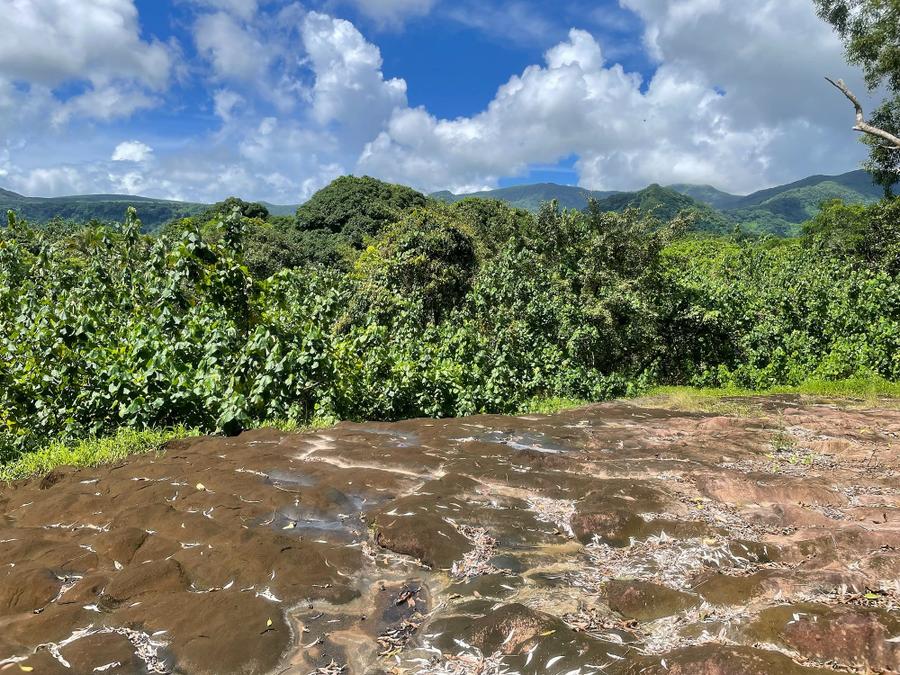 Photo 13 of Micronesia, taken by Cameron Mofid