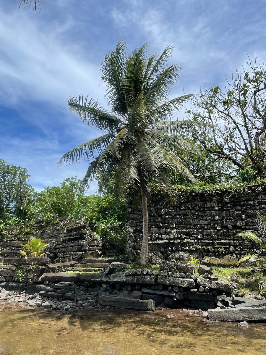 Photo 17 of Micronesia, taken by Cameron Mofid