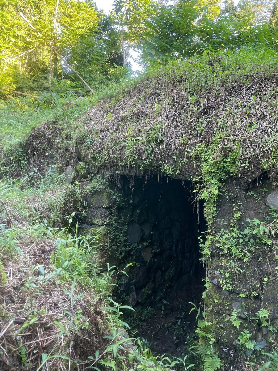 Photo 8 of Micronesia, taken by Cameron Mofid