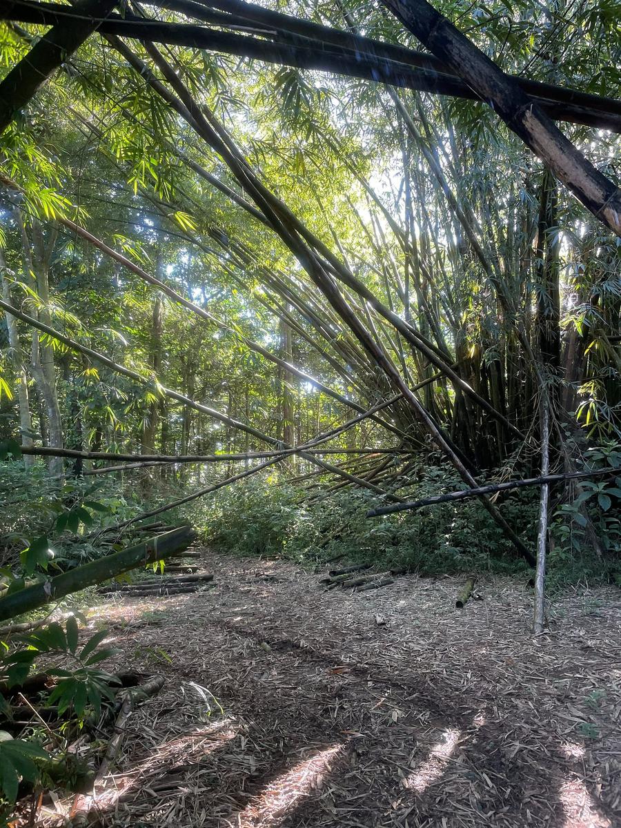Photo 6 of Micronesia, taken by Cameron Mofid