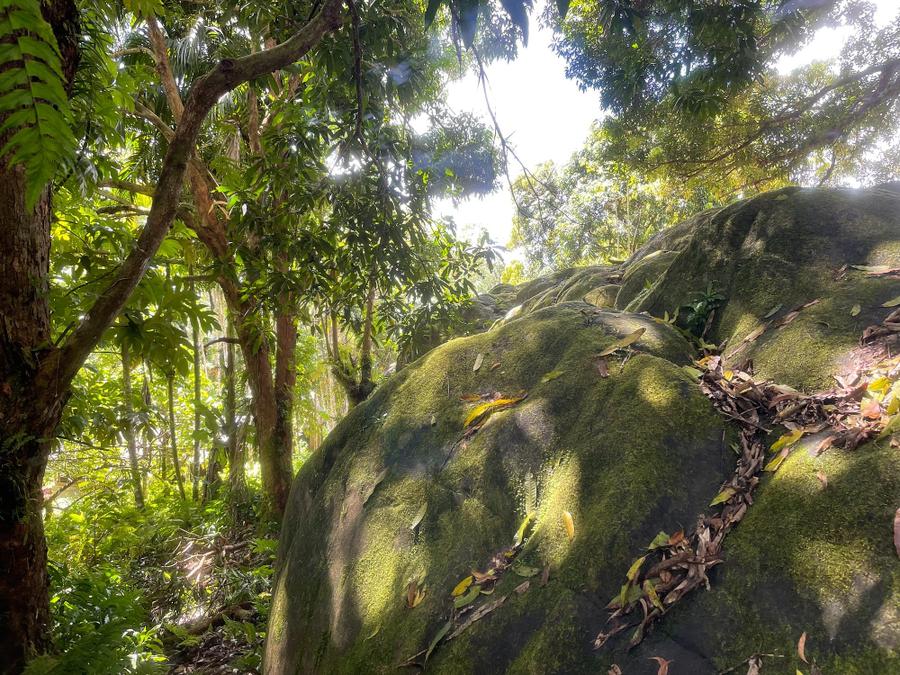 Photo 12 of Micronesia, taken by Cameron Mofid
