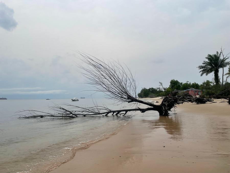 Photo 7 of Gabon, taken by Cameron Mofid