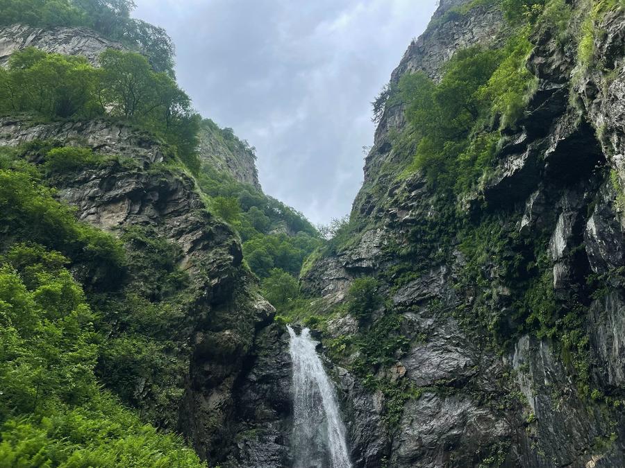 Photo 14 of Georgia, taken by Cameron Mofid