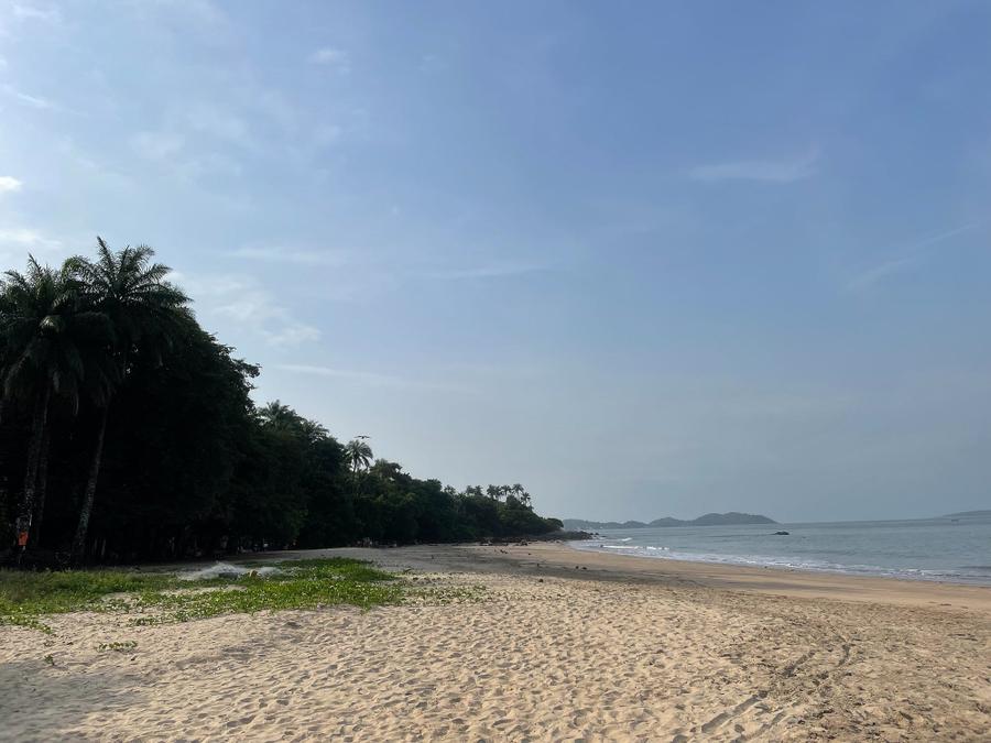 Photo 15 of Guinea, taken by Cameron Mofid