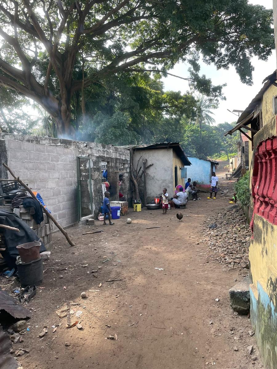 Photo 18 of Guinea, taken by Cameron Mofid