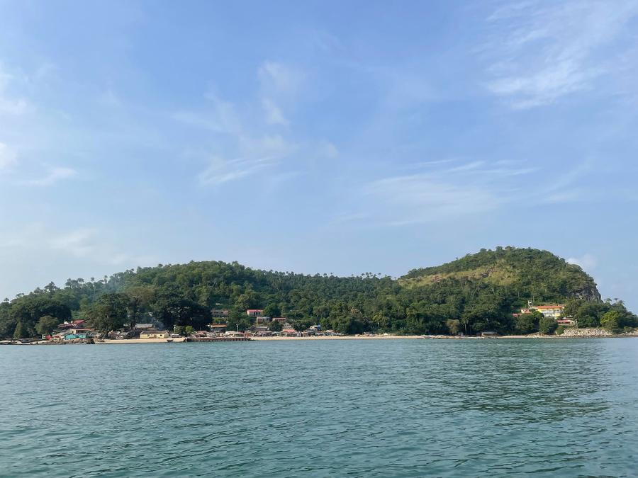 Photo 13 of Guinea, taken by Cameron Mofid