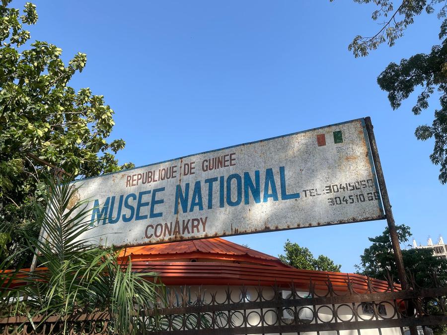 Photo 6 of Guinea, taken by Cameron Mofid