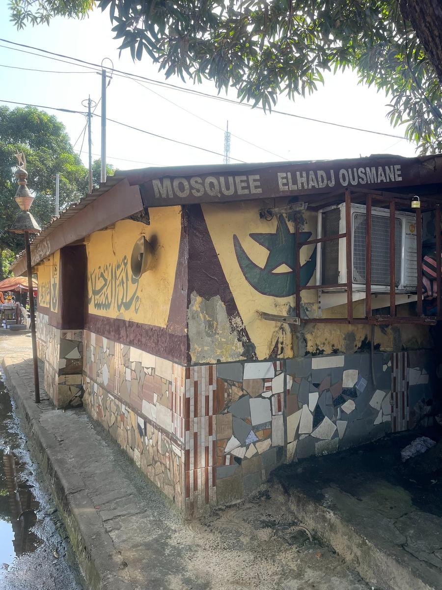 Photo 1 of Guinea, taken by Cameron Mofid