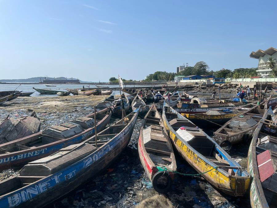 Photo 3 of Guinea, taken by Cameron Mofid
