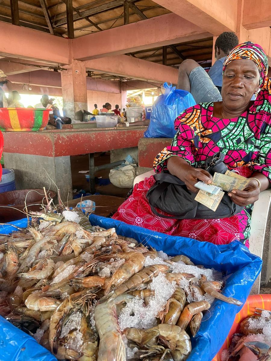 Photo 4 of Guinea, taken by Cameron Mofid