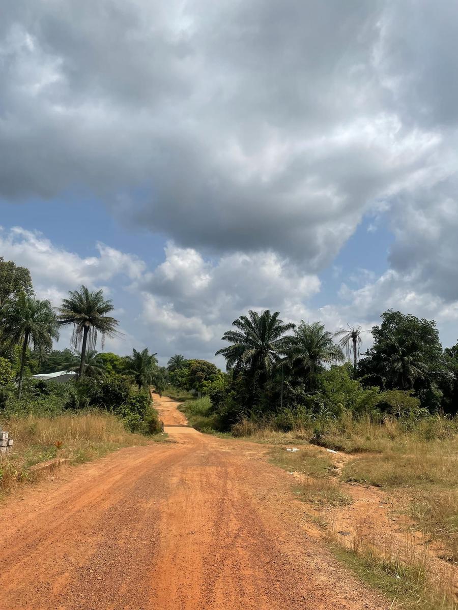 Photo 8 of Guinea, taken by Cameron Mofid