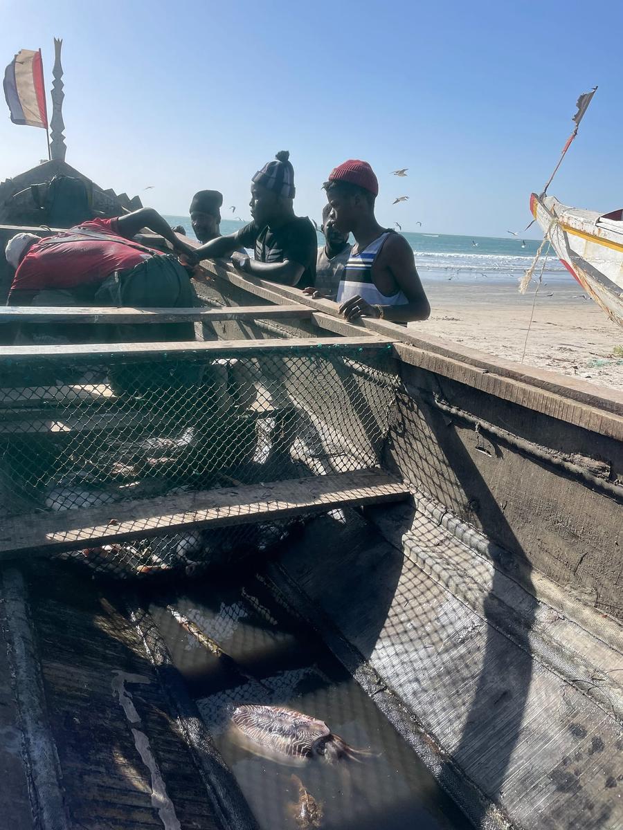 Photo 10 of Gambia, taken by Cameron Mofid