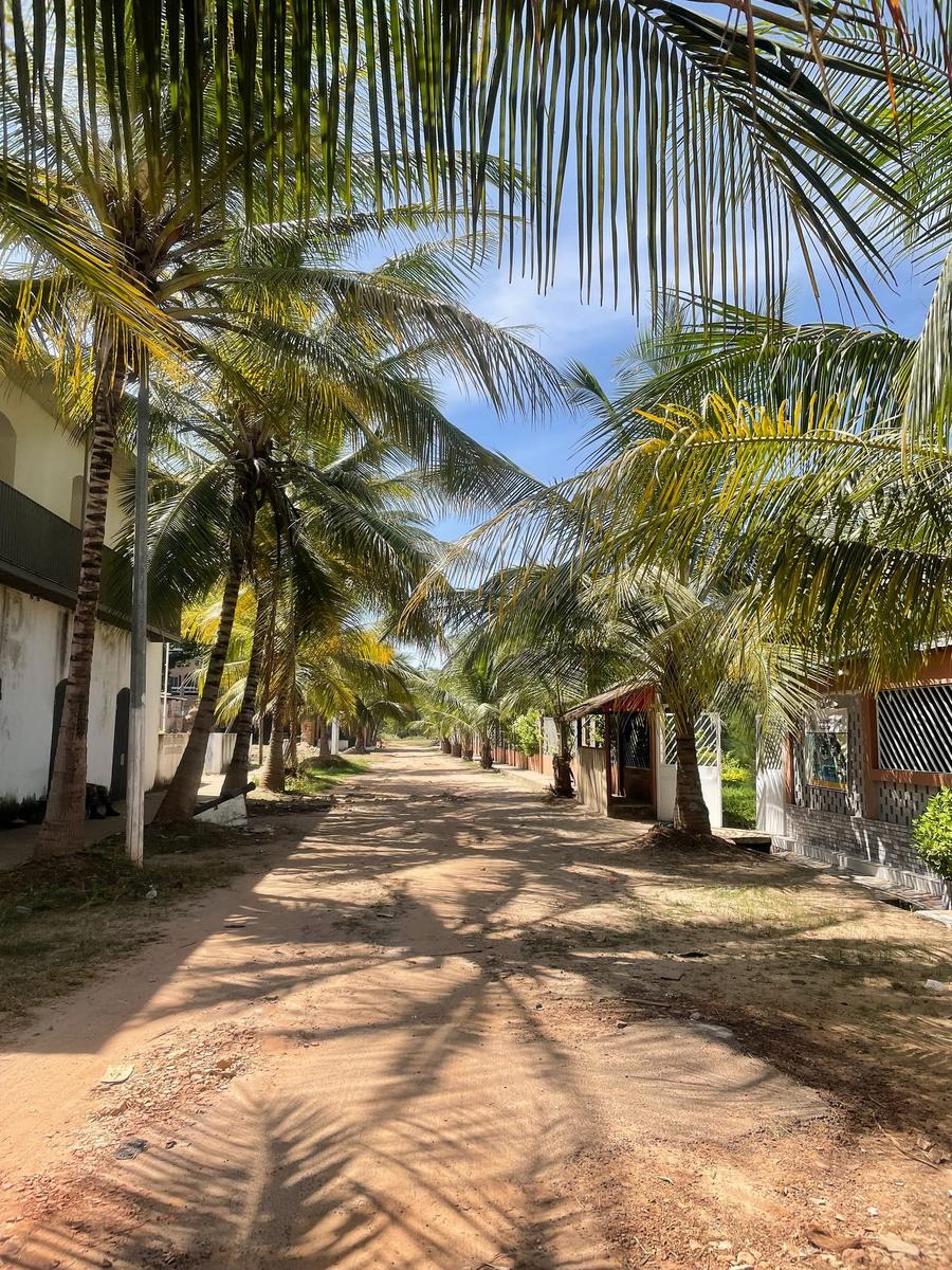 Photo 3 of Guinea-Bissau, taken by Cameron Mofid