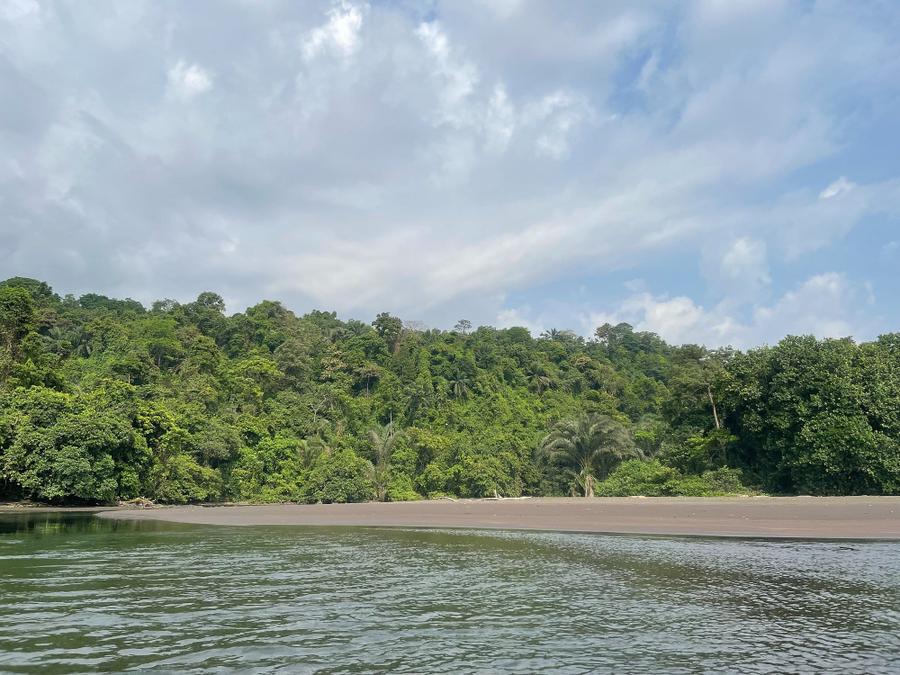 Photo 10 of Equatorial Guinea, taken by Cameron Mofid