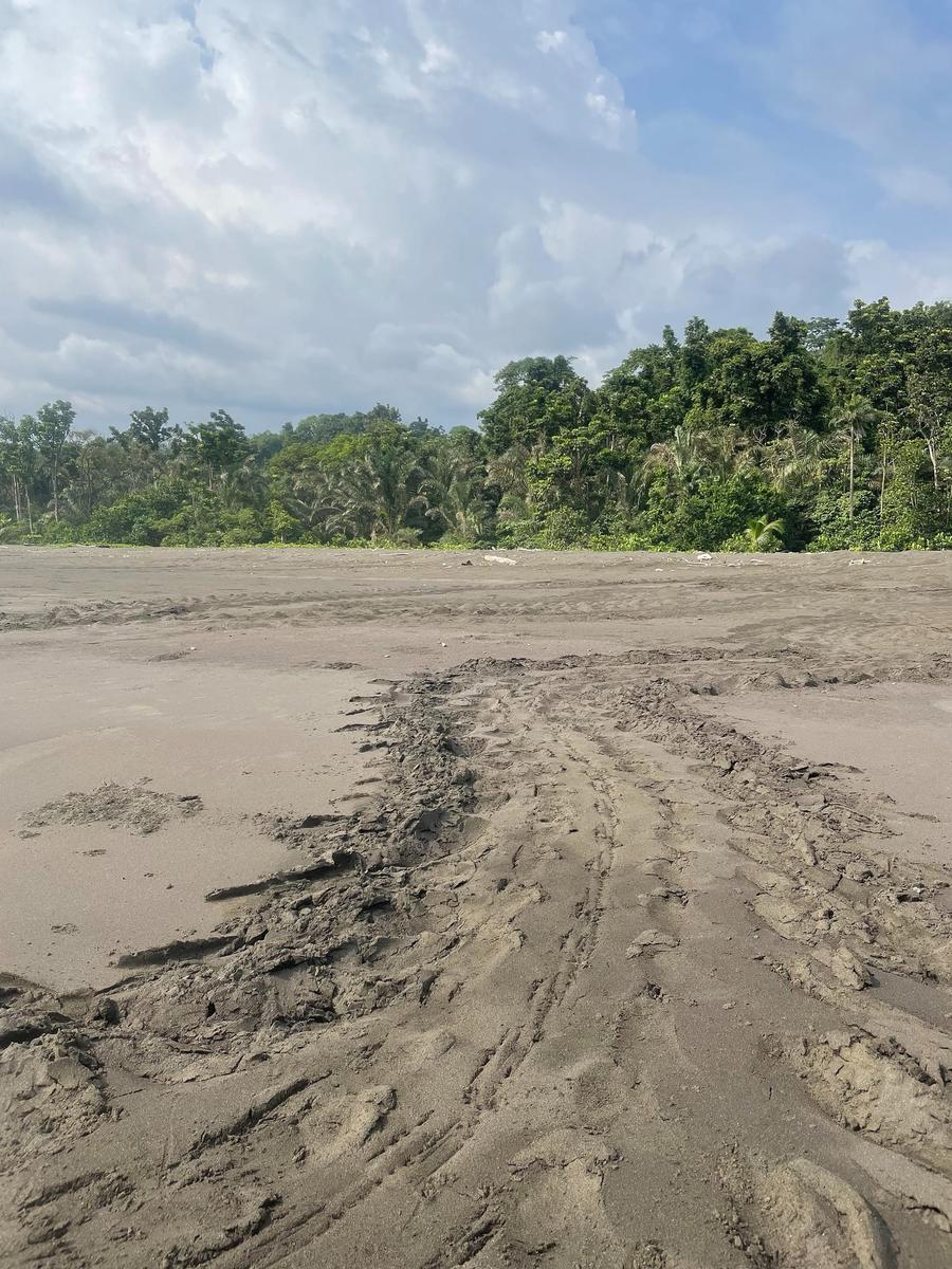 Photo 11 of Equatorial Guinea, taken by Cameron Mofid