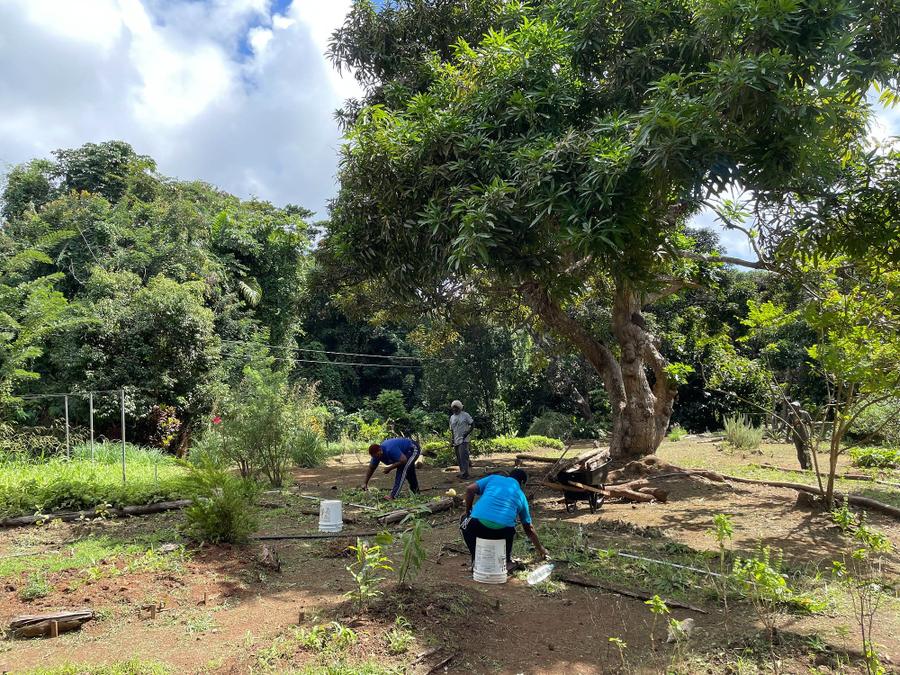 Photo 15 of Grenada, taken by Cameron Mofid