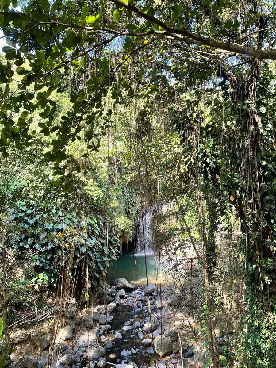 Photo 12 of Grenada, taken by Cameron Mofid