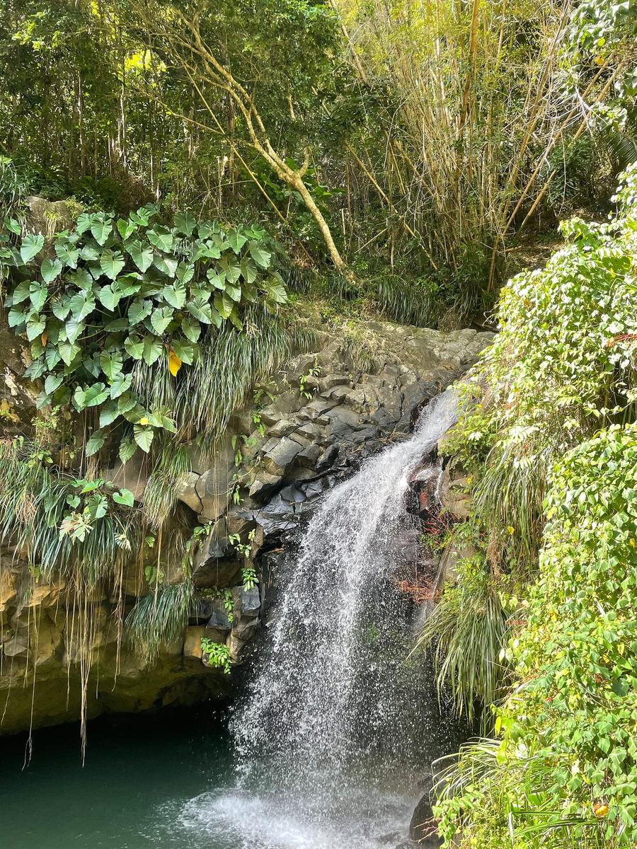 Photo 13 of Grenada, taken by Cameron Mofid