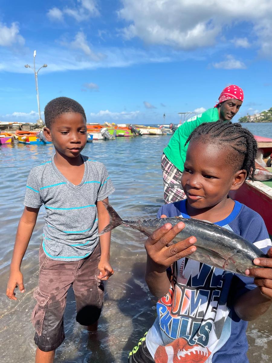 Photo 8 of Grenada, taken by Cameron Mofid