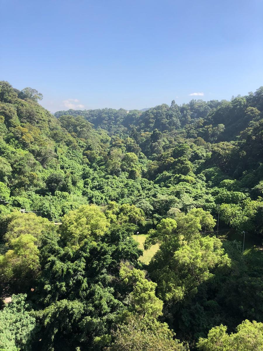 Photo 1 of Guatemala, taken by Cameron Mofid