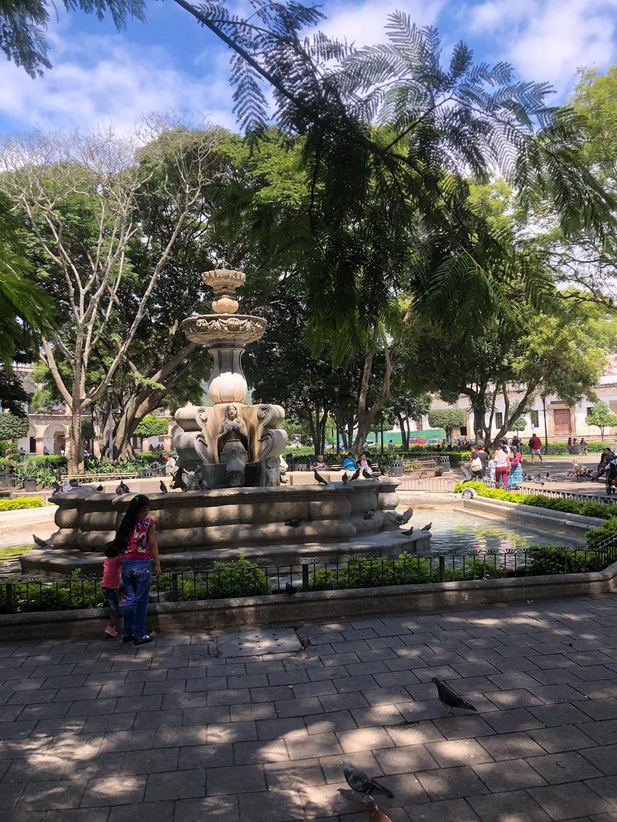 Photo 3 of Guatemala, taken by Cameron Mofid