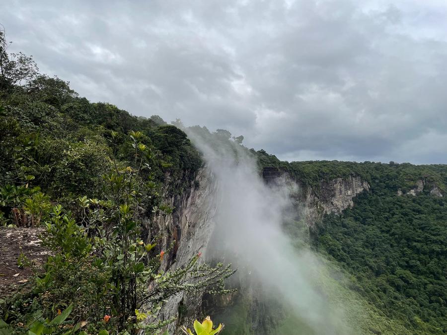 Photo 12 of Guyana, taken by Cameron Mofid