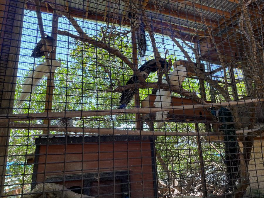 Photo 11 of Honduras, taken by Cameron Mofid