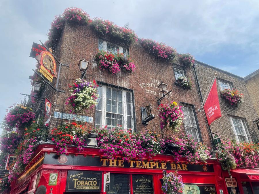 Photo 15 of Ireland, taken by Cameron Mofid