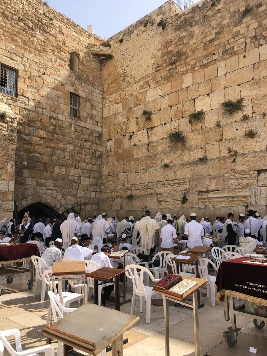Photo 9 of Israel, taken by Cameron Mofid