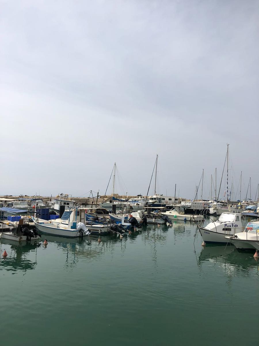 Photo 2 of Israel, taken by Cameron Mofid