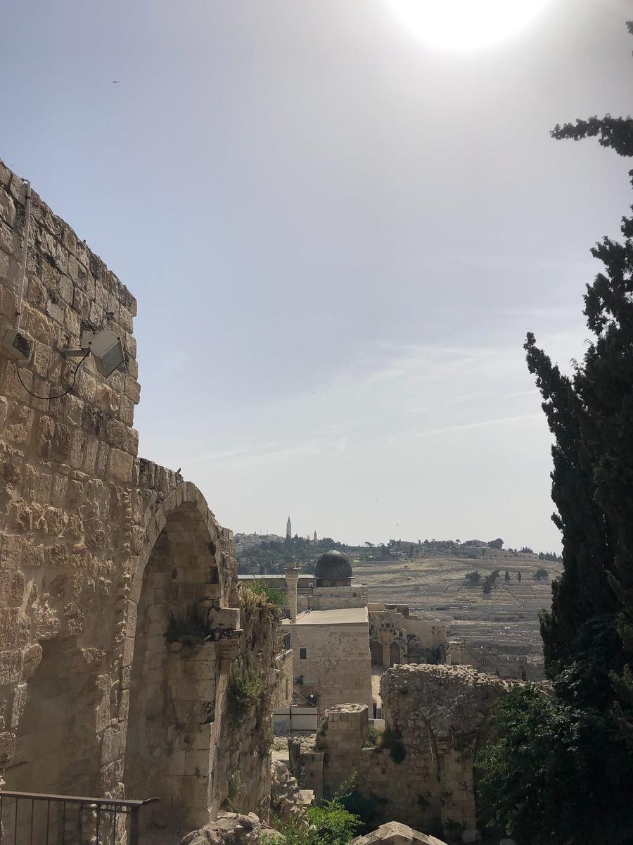 Photo 7 of Israel, taken by Cameron Mofid