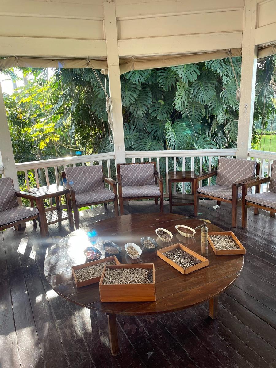 Photo 10 of Jamaica, taken by Cameron Mofid