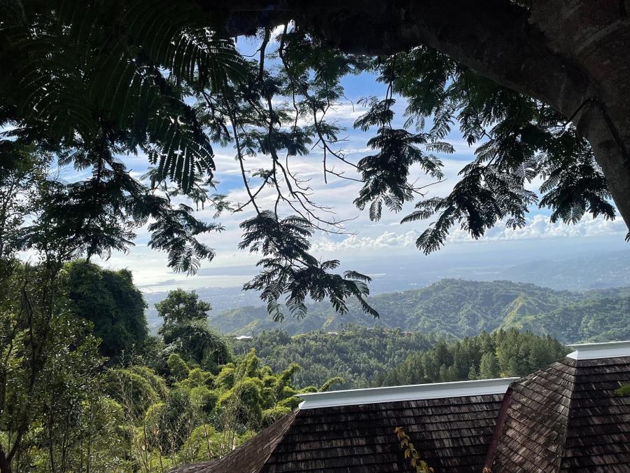 Photo 7 of Jamaica, taken by Cameron Mofid