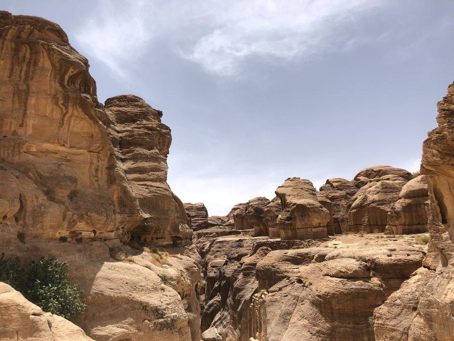 Photo 3 of Jordan, taken by Cameron Mofid