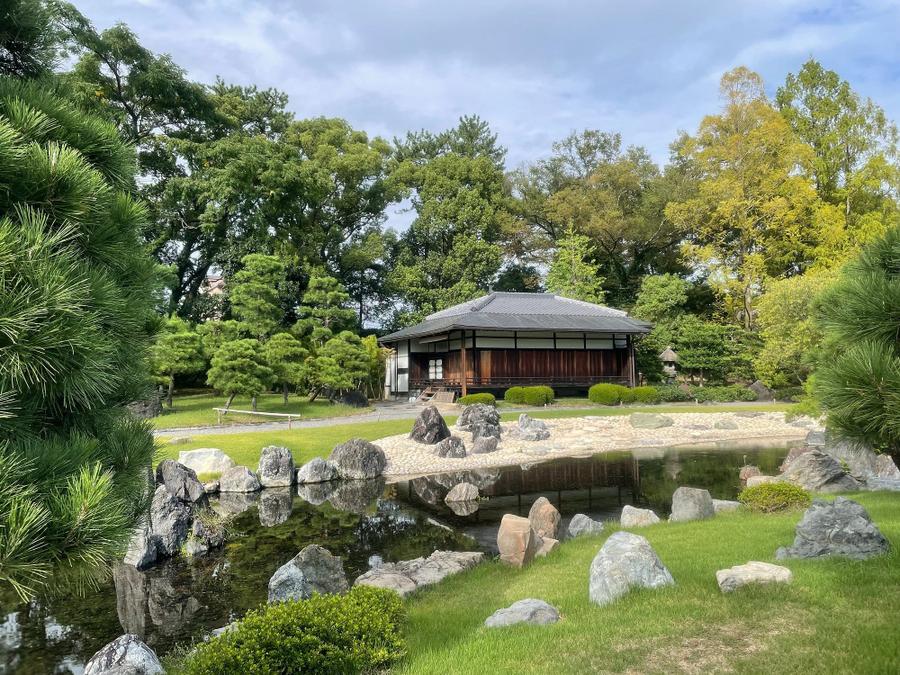Photo 20 of Japan, taken by Cameron Mofid