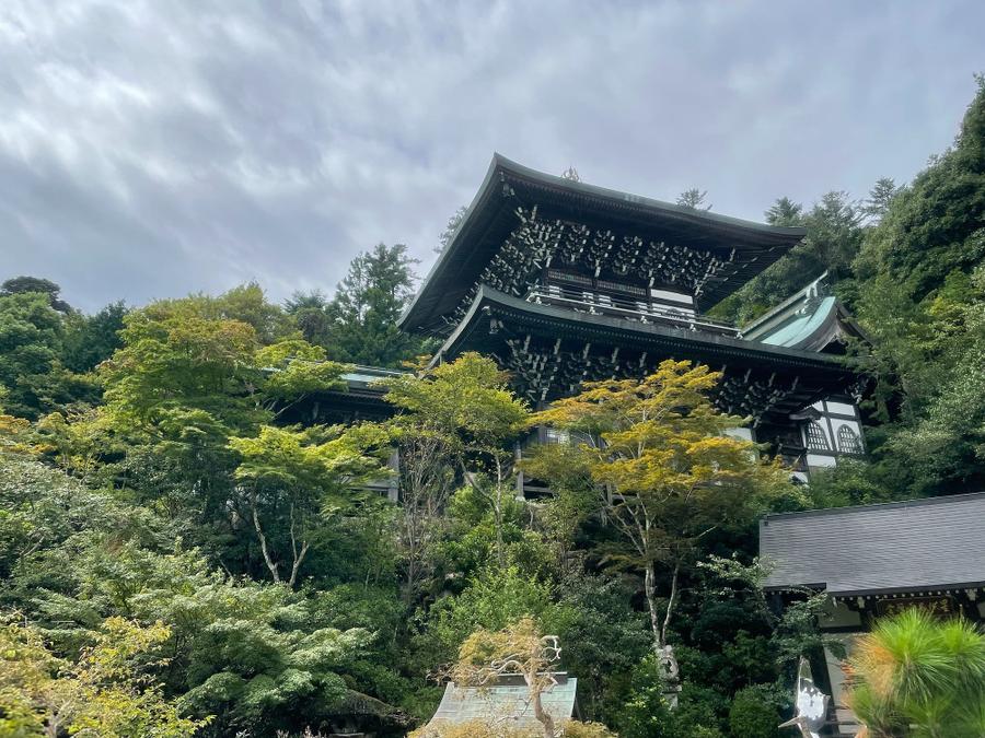Photo 16 of Japan, taken by Cameron Mofid