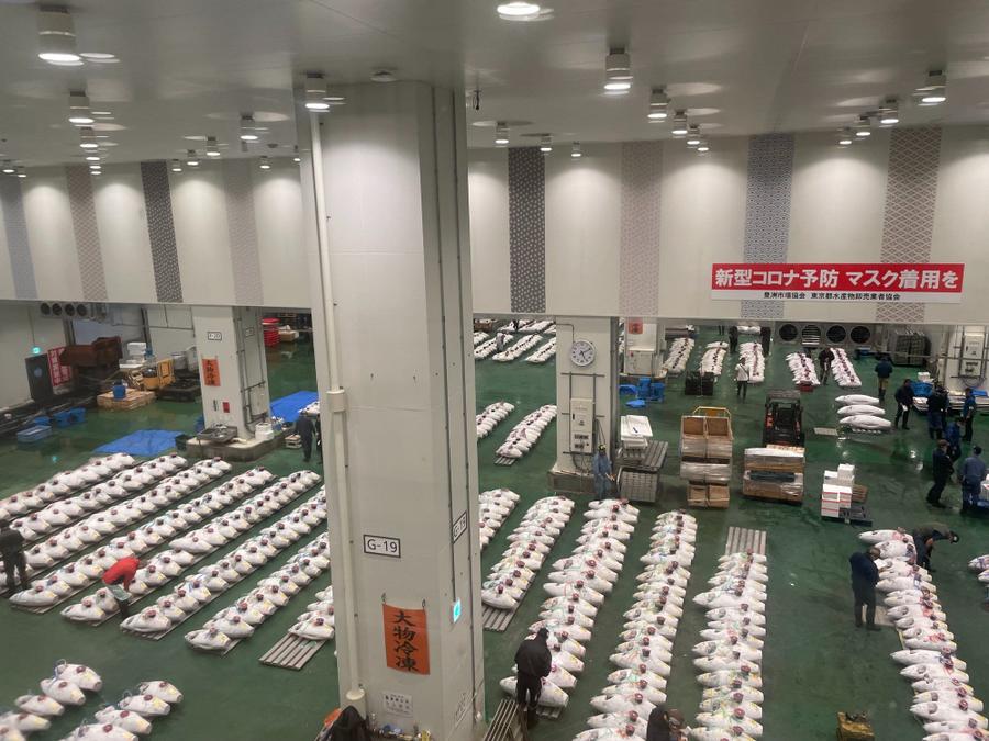 Photo 1 of Japan, taken by Cameron Mofid