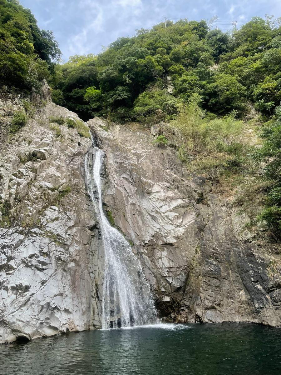 Photo 11 of Japan, taken by Cameron Mofid